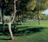 111_es_imagen-ramblas_ori01.jpg Img 1: Club de Golf Las Ramblas de Orihuela
