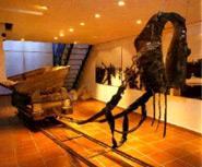 Museo de la Sal