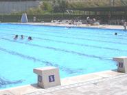 Centre Sportif Munnicipal