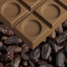 Musée du chocolat Clavileño