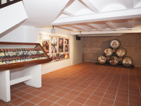 Museo de la Fiesta de la Vendimia