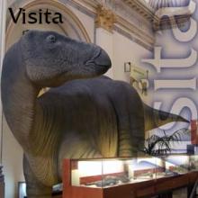 Temps de Dinosaures