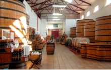Museo del Vino. Legado de Bacchus