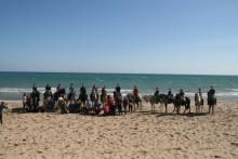 Teràpia amb cavalls a Alacant