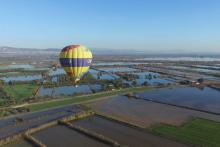 Vuela alto con Aeroglobo