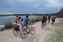 Visit Albufera: Routes in boat and sunsets.