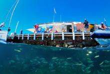 Diving centre La Galera in Teulada-Moraira