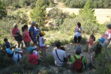 Discover apicultural tourism with ApiVillores
