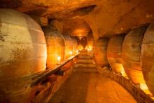 Cultura Violeta, enoturismo a tu alcance