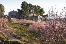 Peace and 360º views from La Torreta de Aitana