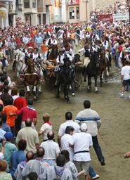 Entrance of the Bulls and Horses