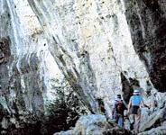 Entre paisatges de pedra, masies i alzinars