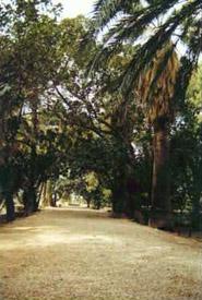 Jardines de Villa Marco