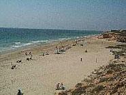 Plage Mil Palmeras
