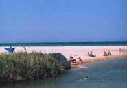 Rabdells