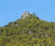 Carrascar de la Font Roja