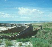 Playa El Pinet