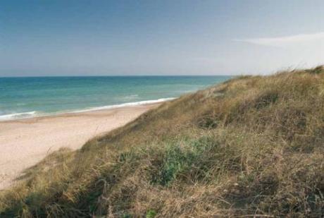 El Saler Beach