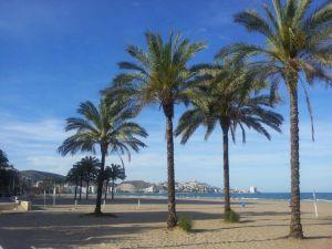 Acosta’t a Cullera i gaudeix de les seues festes