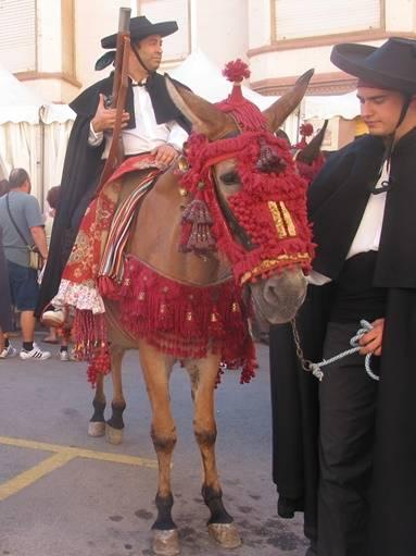 Festividad de San Antonio Abad. Recua arriera de L'Alcora