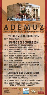 Fiestas en Honor a la Virgen del Rosario