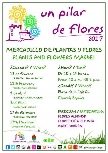 Mercadillo de plantas y flores "Un Pilar de Flores" en Pilar de la Horadada 2017