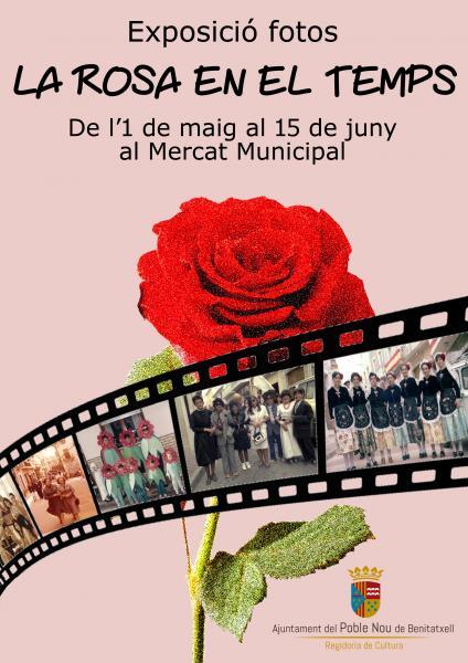 Exposició fotos "La Rosa en el temps"