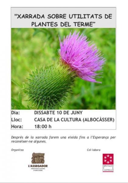 Charla sobre utilidades de plantas del término