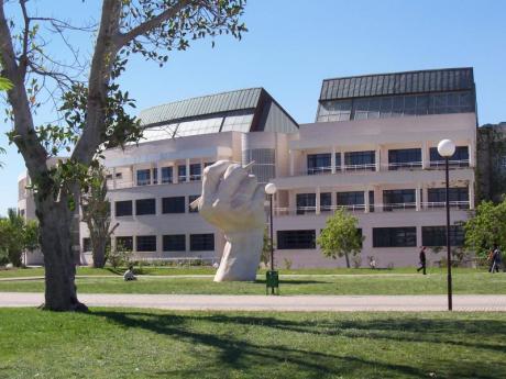 El Bosque Ilustrado de la Universidad de Alicante