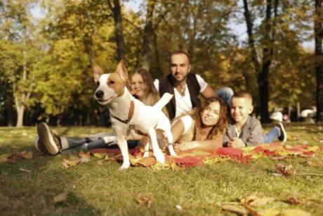 Llega el primer gran festival de familias con mascotas