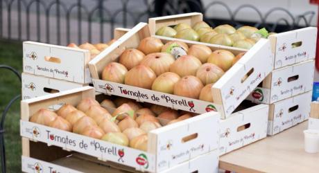 Saborea un producto único de la huerta valenciana