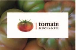 II FERIA DEL TOMATE MUTXAMIEL