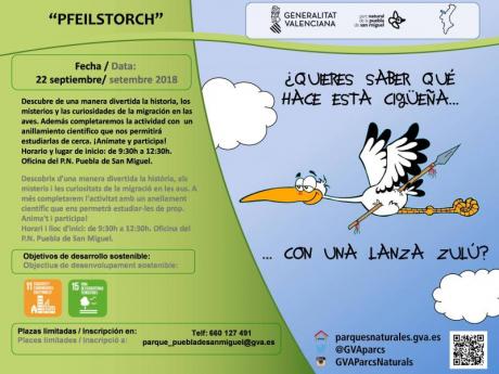 PFEILSTORCH. Anillamiento científico en época de migración