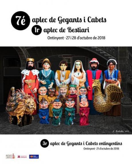 VII Aplec de Gegants i Cabets