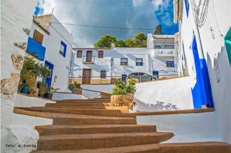 Discover La Vilavella with its free guided tours and educational workshops