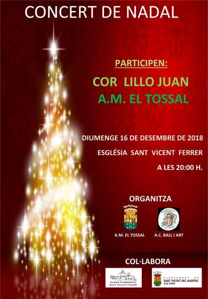 Concierto de Navidad en San Vicente del Raspeig 2018