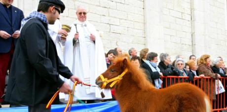 Fira i Porrat de sant Antoni Benissa