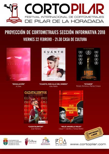 I Proyección de Cortometrajes de la "Sección Informativa Cortopilar"