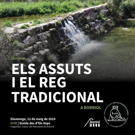 Els assuts i el reg tradicional de Borriol