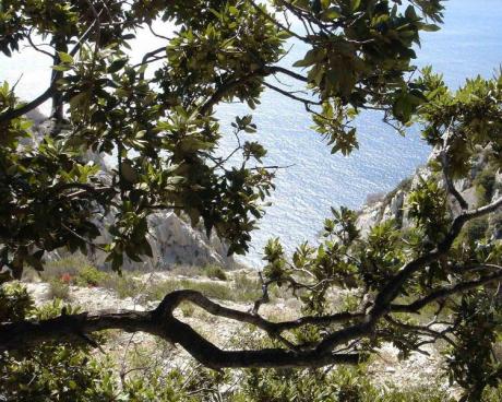 Primavera en los parques naturales de la Comunitat Valenciana