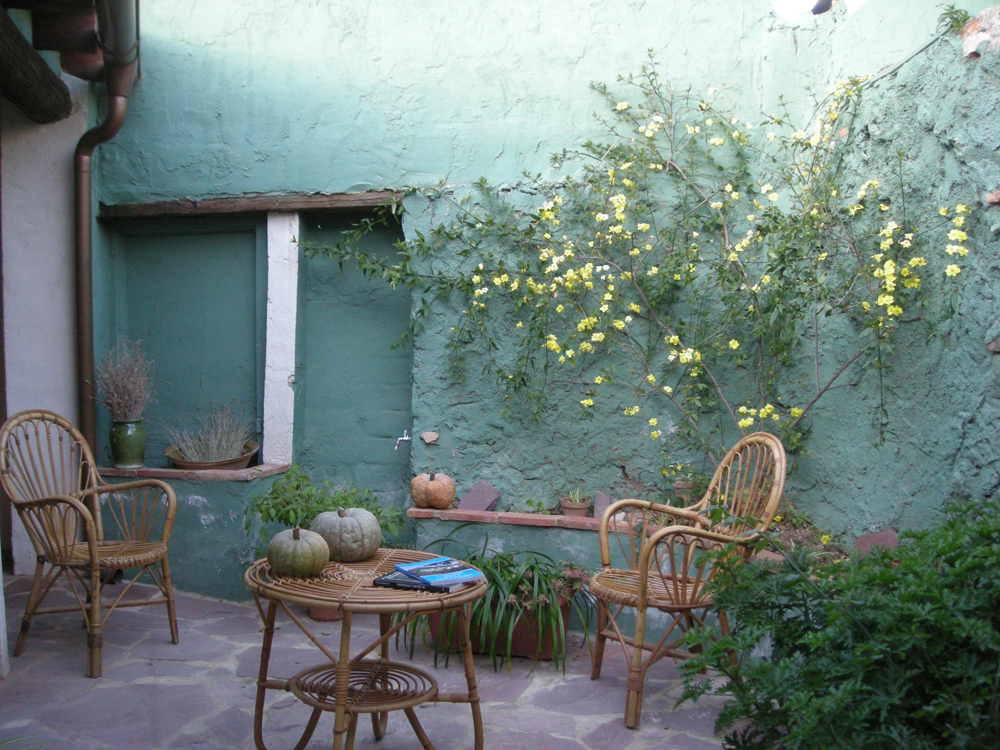 EL PATIO DE LAS CEBOLLAS