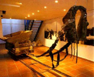 Musée du Sel