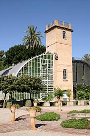 Jardí Botànic