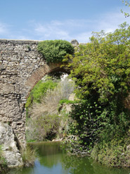 Puente Real y Concegil