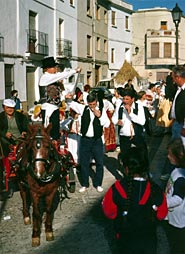 Festivity in Honour of the Santísimo Cristo de San Roque
