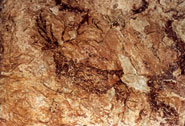 Pintures rupestres