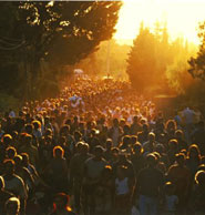 Fiestas Patronales y de Moros y Cristianos