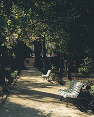 Jardí Botànic