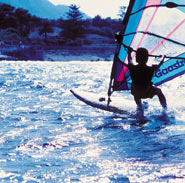Oliva Surf