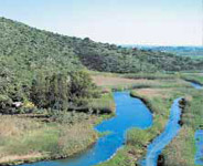 De Villena à Oliva